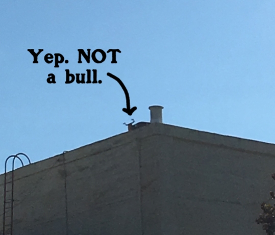 Yeah. Nope. Not a bull. Just a bull-shaped piece of rooftop equipment. So sad this isn't a bull statue. We NEEDED this to be a bull statue.