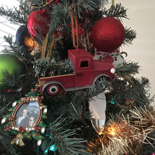 Hayley's 2018 ornament choice
